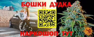 дмт Сланцы